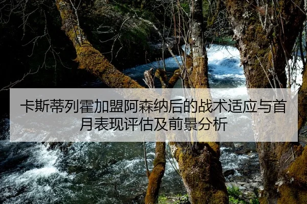 卡斯蒂列霍加盟阿森纳后的战术适应与首月表现评估及前景分析